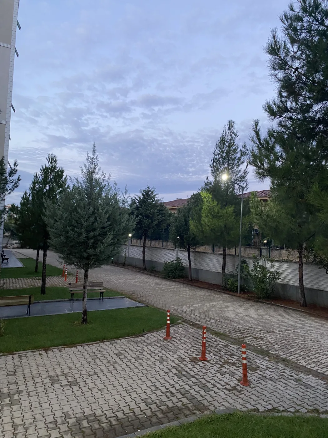 Fotoğraf