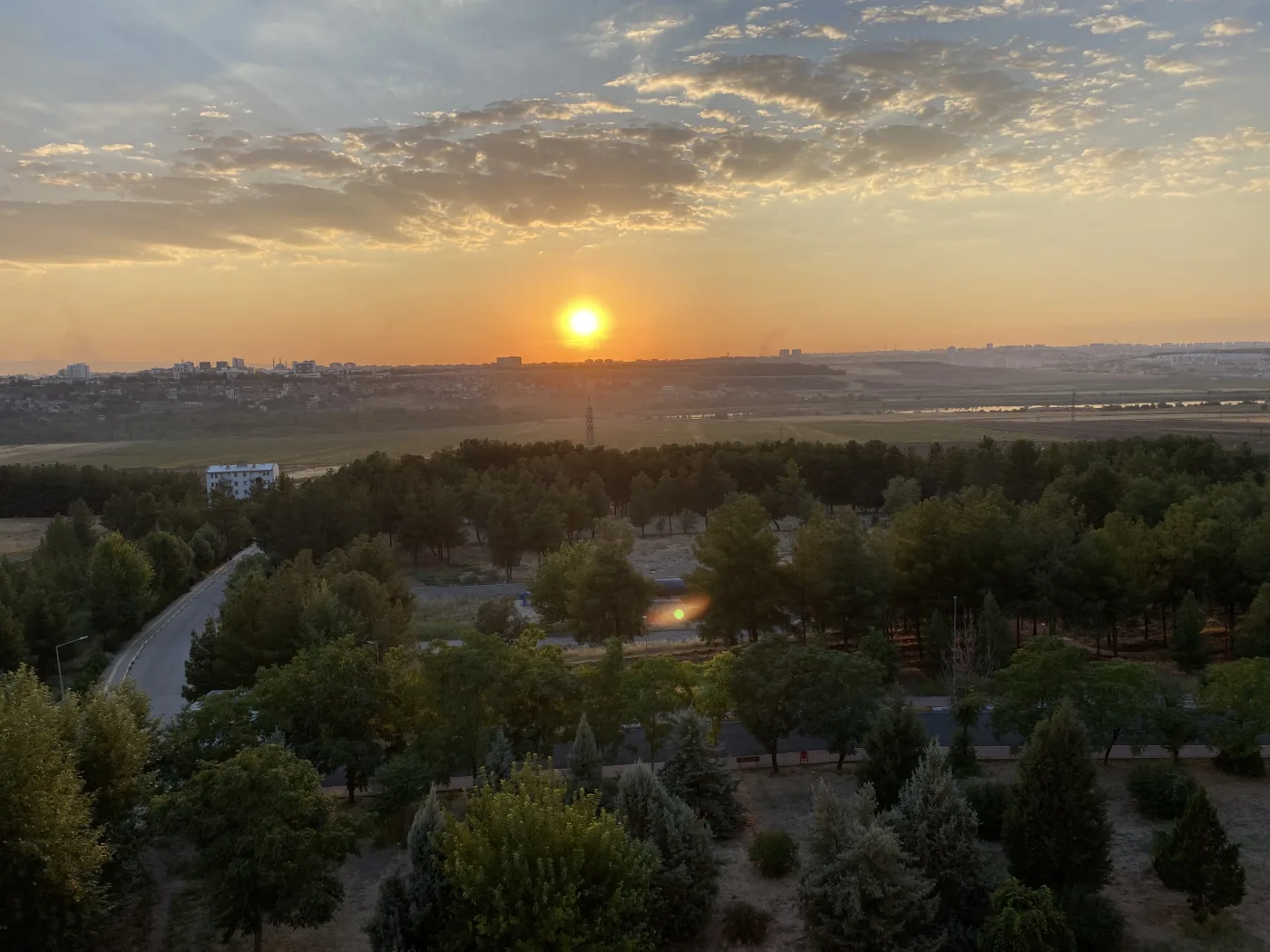 Fotoğraf