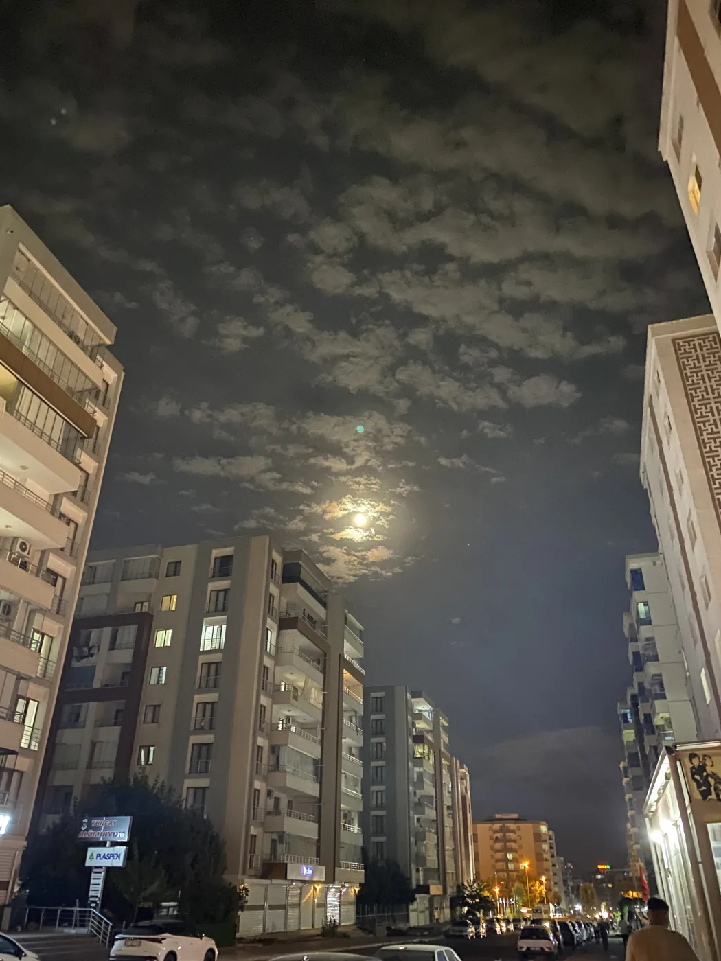 Fotoğraf