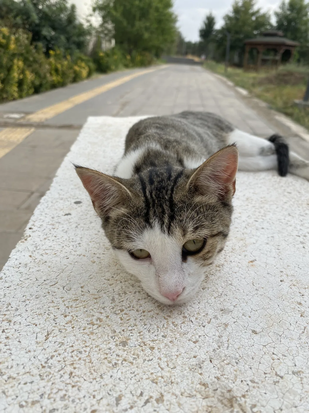 Fotoğraf